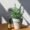 ChildLife Echinacea, sabor a naranja natural